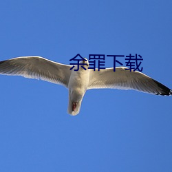 余罪下(下)载