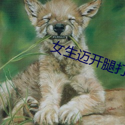 女生迈开腿打(dǎ)扑克叫