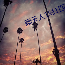 聊天人1对1匹配网站