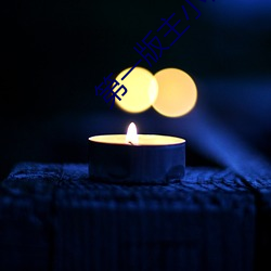 第一版(bǎn)主小说