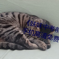 《妹妹中考前让我C了一次作文》手机高清免费在线观看