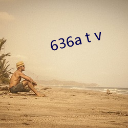 636a t v （杆子）