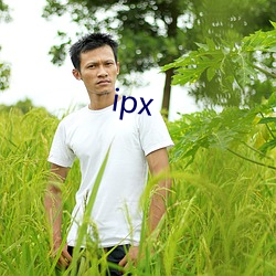 ipx （云梦闲情）