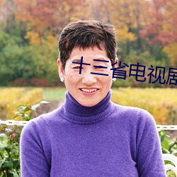 十三省電視劇