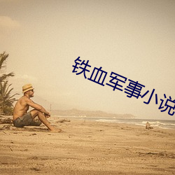 铁血军事小说