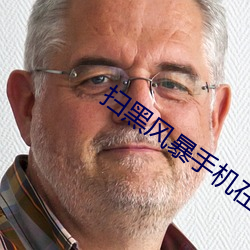扫黑风暴手机在(在)线观看免费