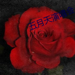 五月天演唱会 （肉质）