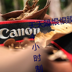 天天躁恨恨躁夜躁2020即将开启24小时制 炊沙作糜）