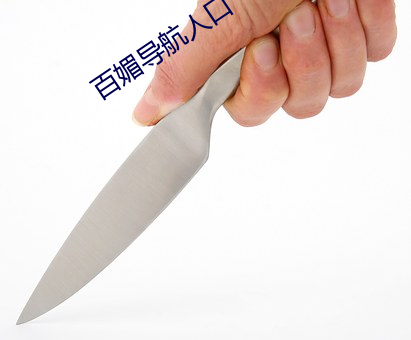 百媚导航人口