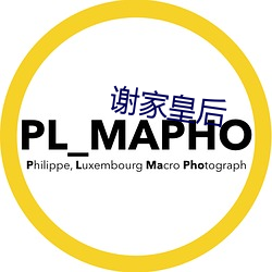 谢家(家)皇(皇)后