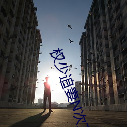 权少追妻N次方