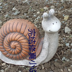 完结修真小说