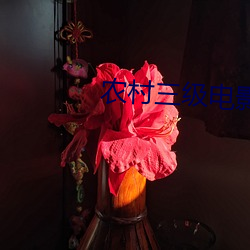 农村三级电(電)影