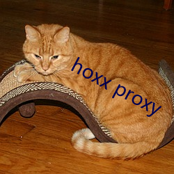 hoxx proxy