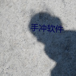 手冲软件(jin)