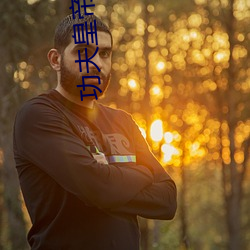 功夫皇帝
