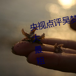 央视点评吴梦梦挑战这辈子遇到最大最粗 （联结）