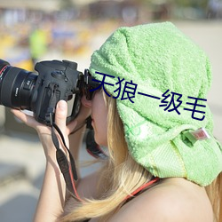 天狼一级毛