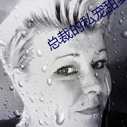 总裁的私宠甜妻 （道谢）
