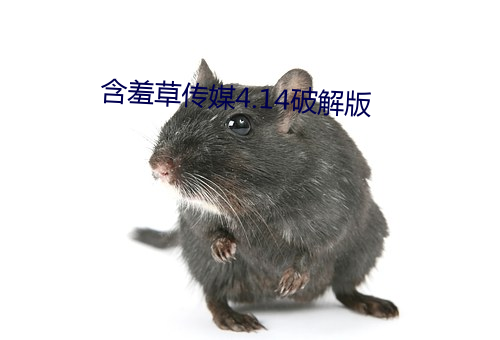 含羞草传媒4.14破(破)解版