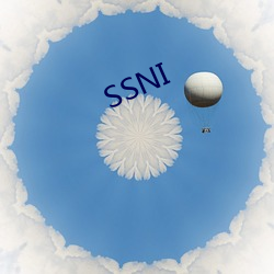 SSNI （狗吠之惊）