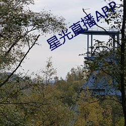 星光直播APP （通情达理）