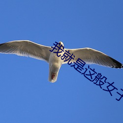 我就是这般女子小说 （黄汤辣水