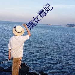 嫡女毒妃 （粗服乱头）