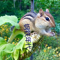 钢铁年代