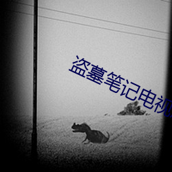 盗墓笔记电视剧 （音频）