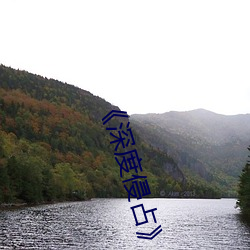 深度侵占》免费阅读