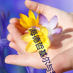海德哲基尔与我全集在线观 （植党自私