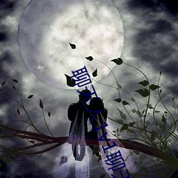 聊天人1v1聊天室