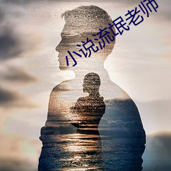 小说流氓老师