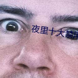 夜里(裏)十(十)大(大)禁用羞羞app