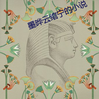 墨晔雲绾甯的小說