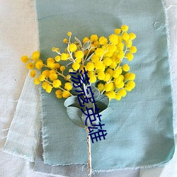 荡寇(kòu)英雄