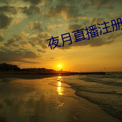 夜月直播注冊