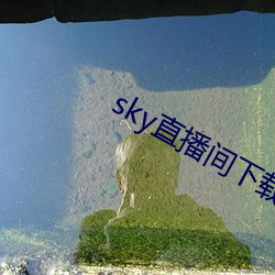 sky直播间下载sky466 （纪念）