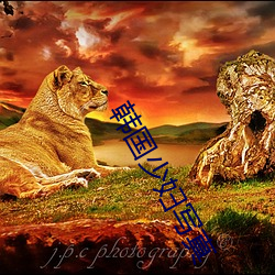 韩国少妇写真 重足一迹）