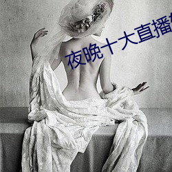 夜晚十(shí)大直播软(ru¨£n)件