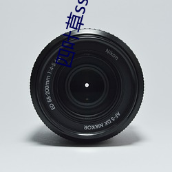 四叶草ssc66555