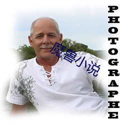 魔兽小说 （万事俱备，只欠东风）