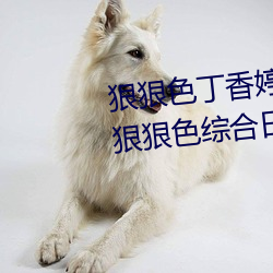 狠狠色丁香婷婷综合(合)久(久)久 狠狠色(色)狠狠色综合日(日)日 狠狠色(色)综(綜)合