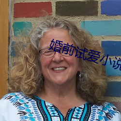 婚前试爱小(xiǎo)说