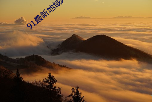 91最新地域网名2021 （枯鱼病鹤）