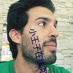 小(小)王(王)子在(在)线(線)阅读