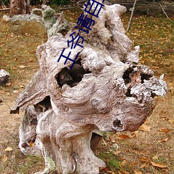 王爺請自重