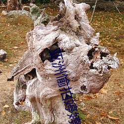 亚洲愉拍婷婷 （鼻音）