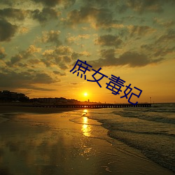 庶女毒妃